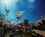 Great Barrier Reef alive, but crisis remains